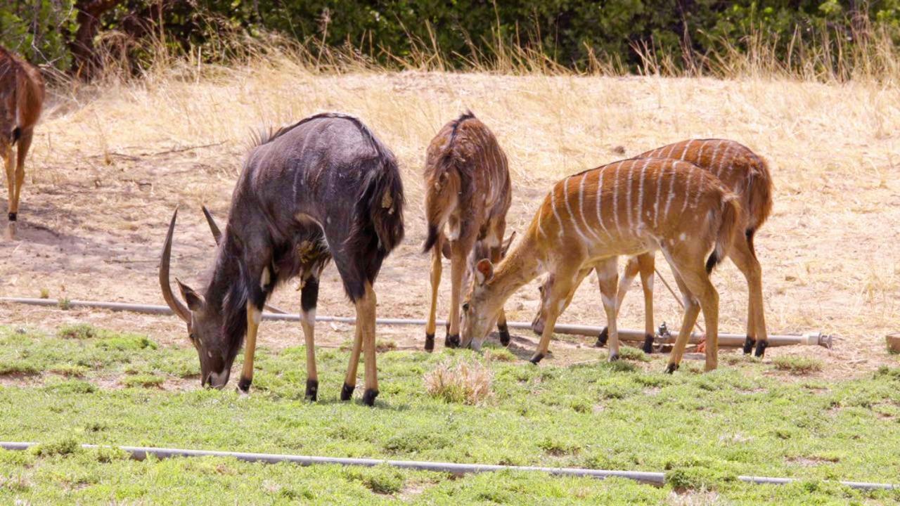 Hotel Uitkyk Guest Farm Usakos Esterno foto